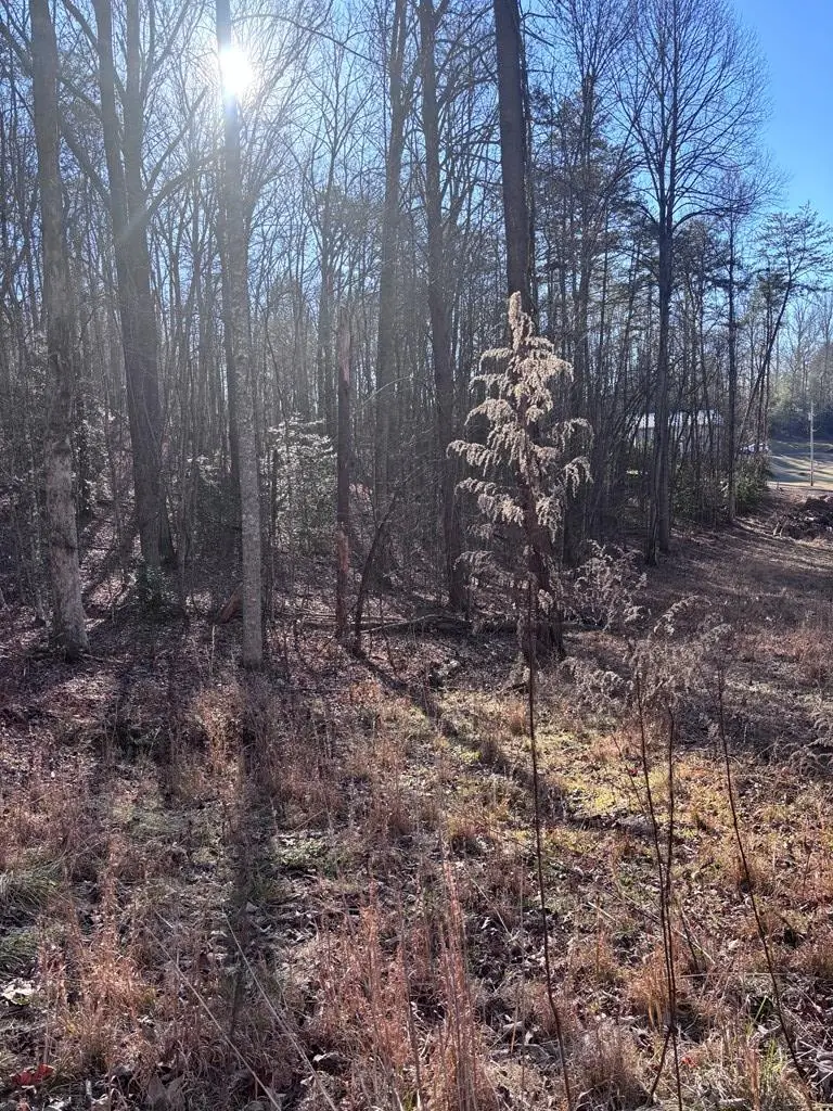 Lot 73 Bice Lane, Blue Ridge, GA 30513 - Image #1