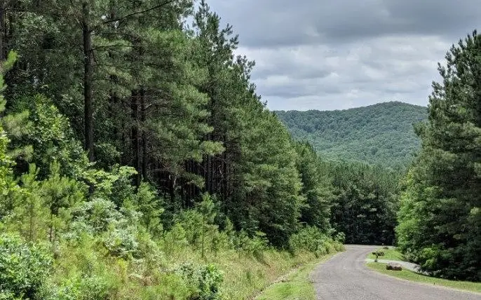 LOT 7 Ridge Top Drive, Ellijay, GA 30536 - #1