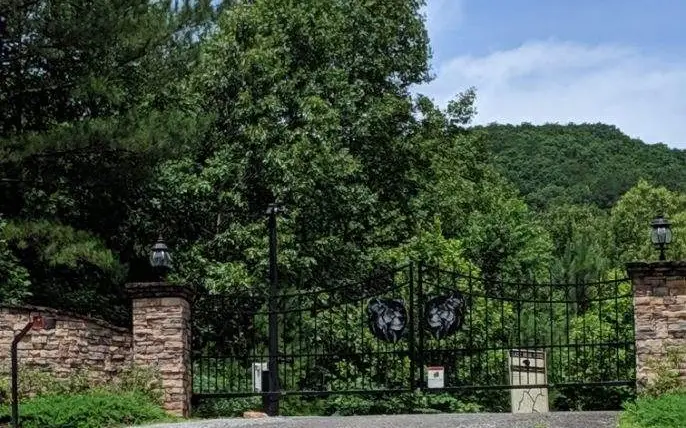 LOT 7 Ridge Top Drive, Ellijay, GA 30536 - #2