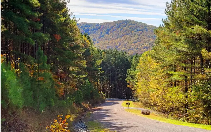 LOT 7 Ridge Top Drive, Ellijay, GA 30536 - #3