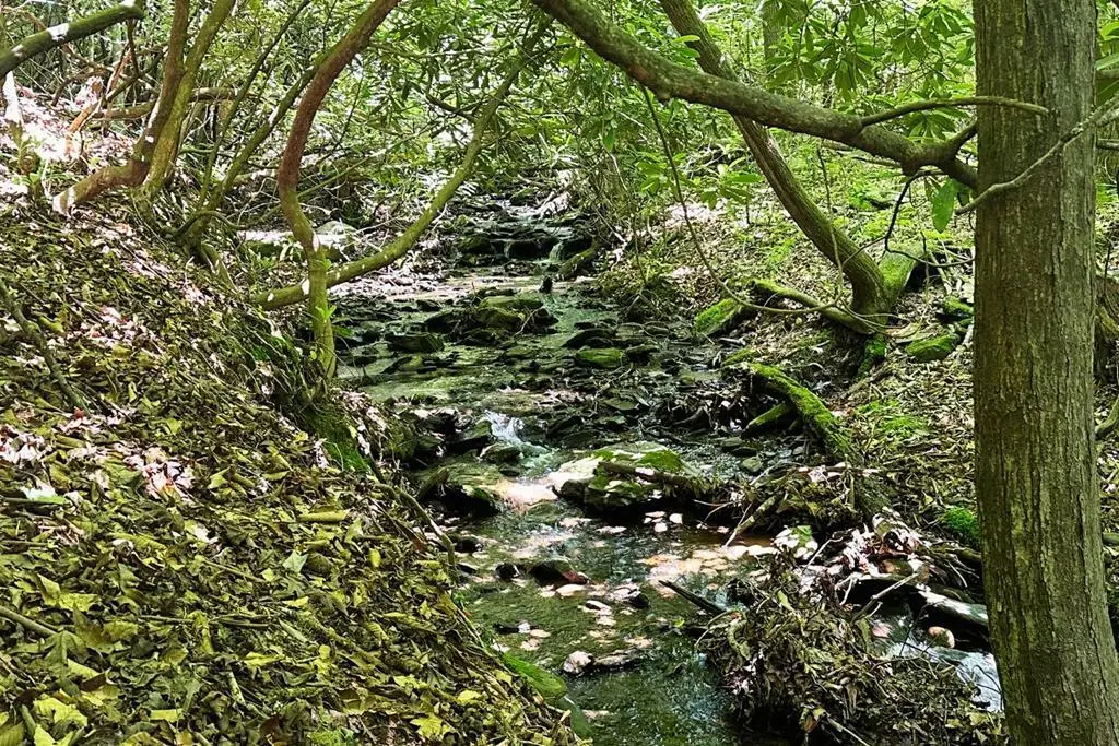 Lot 8 Moore Acres, Hayesville, NC 28904 - #1