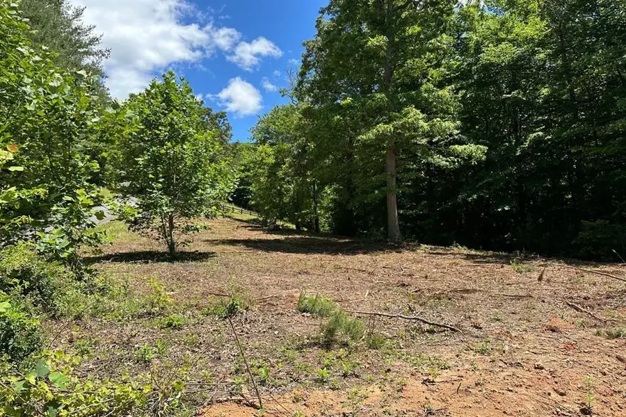 Lot 8 Moore Acres, Hayesville, NC 28904 - #2