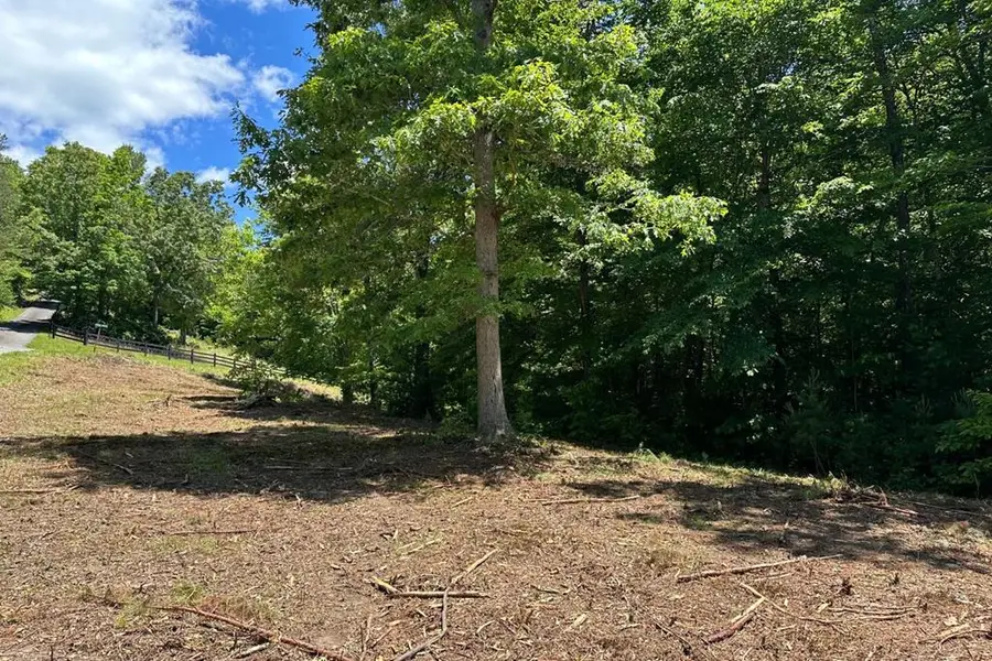Lot 8 Moore Acres, Hayesville, NC 28904 - #3