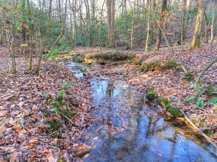 144 Hothouse View, Mineral Bluff, GA 30559 - Image #3