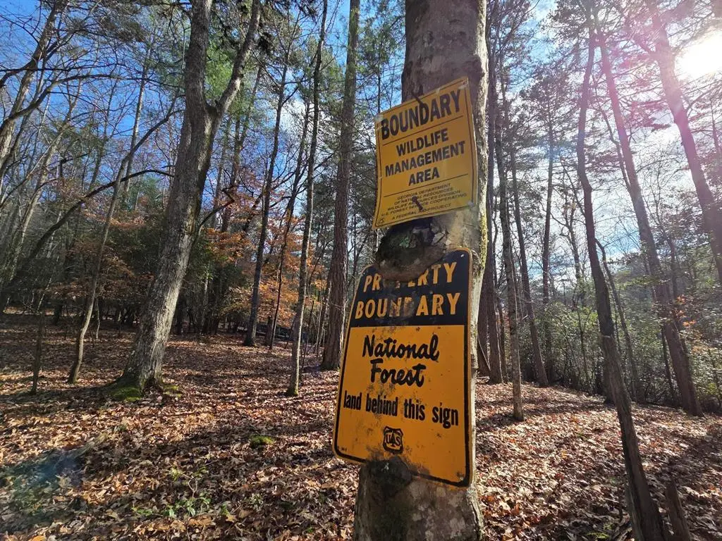 Lot 10 Wildcat Creek, Suches, GA 30572 - Image #1