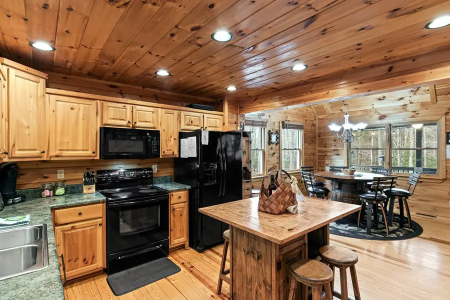 850 Mountain Lake Circle, Blue Ridge, GA 30513 - #3