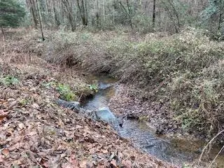 Lot 52 Llama Lane, Ellijay, GA 30540 - Image #2