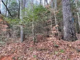 53 Llama Lane, Ellijay, GA 30540 - Image #2