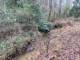 53 Llama Lane, Ellijay, GA 30540 - Image #3