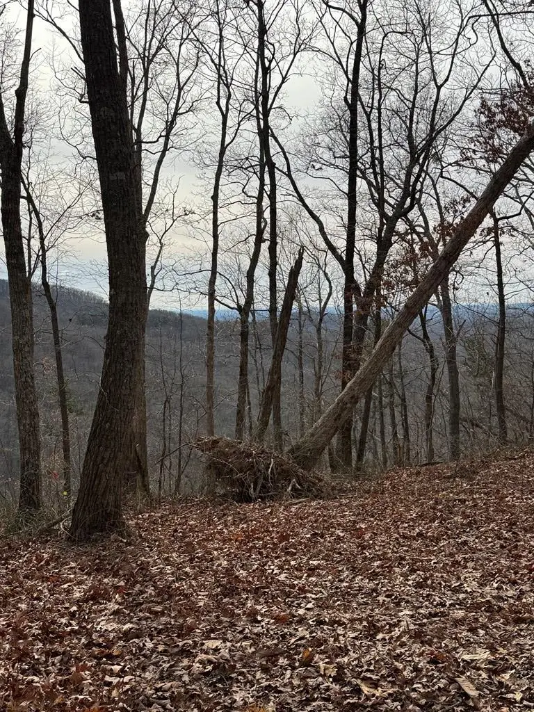 Lot 109A Folkstone Road, Nelson Tate Marble Hill, GA 30143 - Image #1