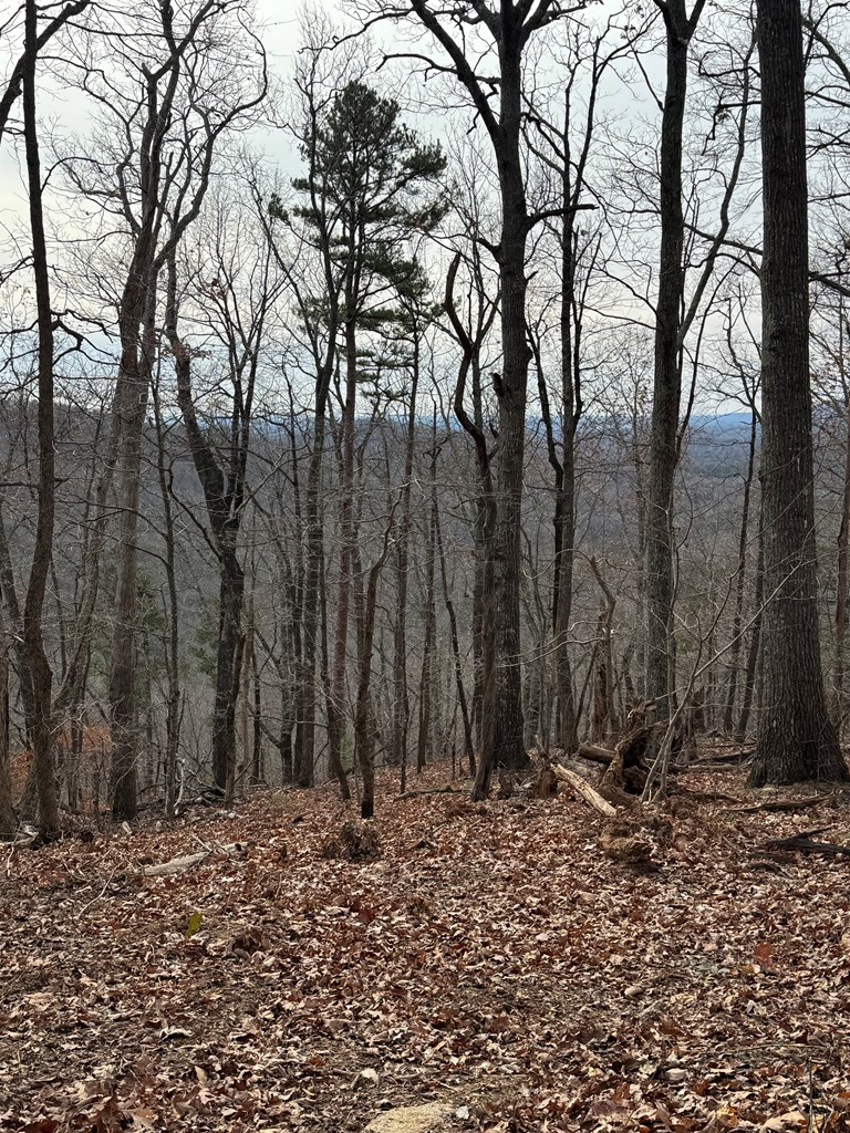 Lot 109B Folkstone Road, Nelson Tate Marble Hill, GA 30143 - Image #3