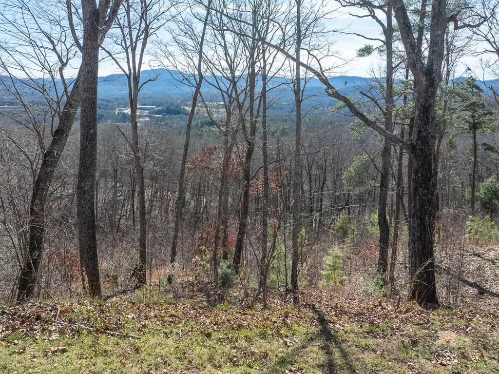 Lot 132 Highland Park, Blairsville, GA 30512 - #1