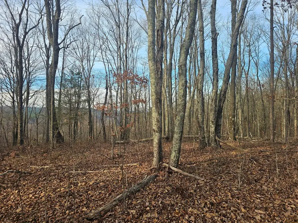 029003.0 Smith Mountain, Dunlap, TN 37327 - Image #1