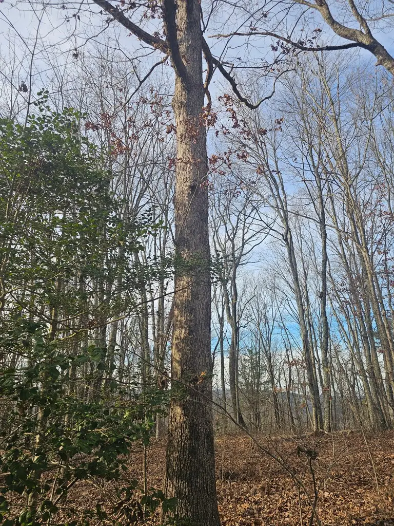 029003.0 Smith Mountain, Dunlap, TN 37327 - Image #2