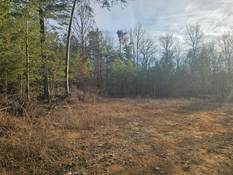 029003.0 Smith Mountain, Dunlap, TN 37327 - Image #3