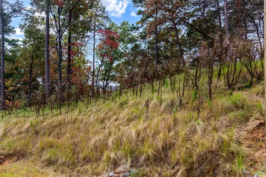 Lot 269 Canoe Way, Talking Rock, GA 30175 - #3