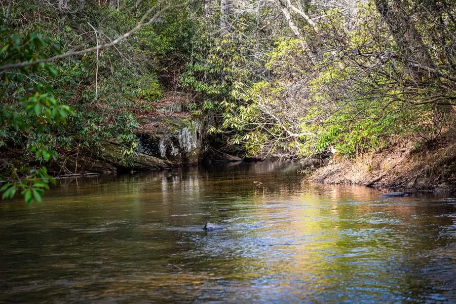 Lot 11B Spence Road, Epworth, GA 30541 - #3