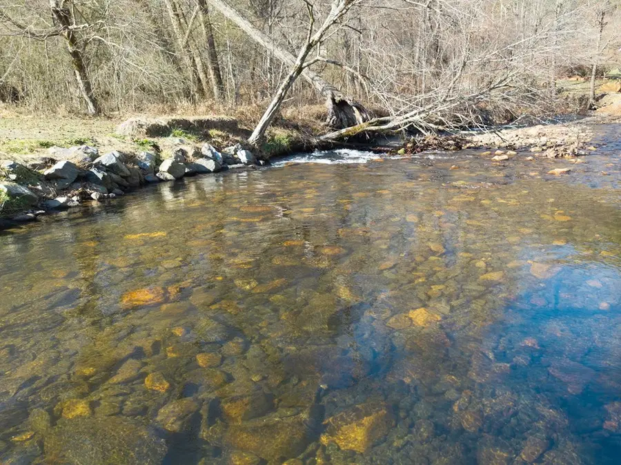 328 Pauls Meadow Drive, Hayesville, NC 28904 - #3