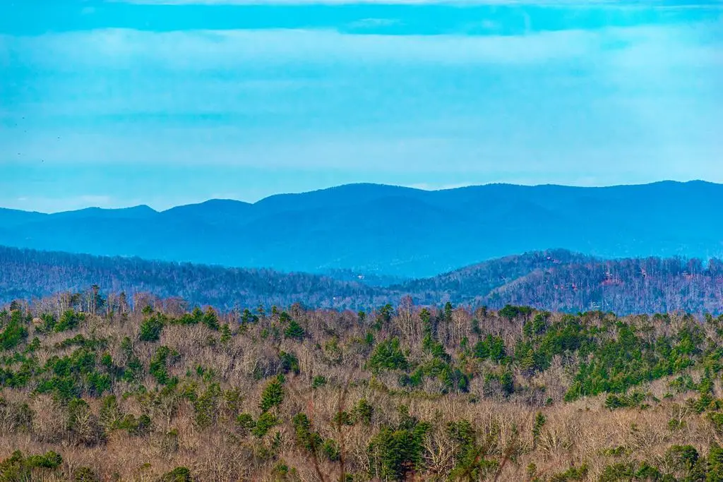 Lot 8 Scouts Overlook, Morganton, GA 30560 - Image #1