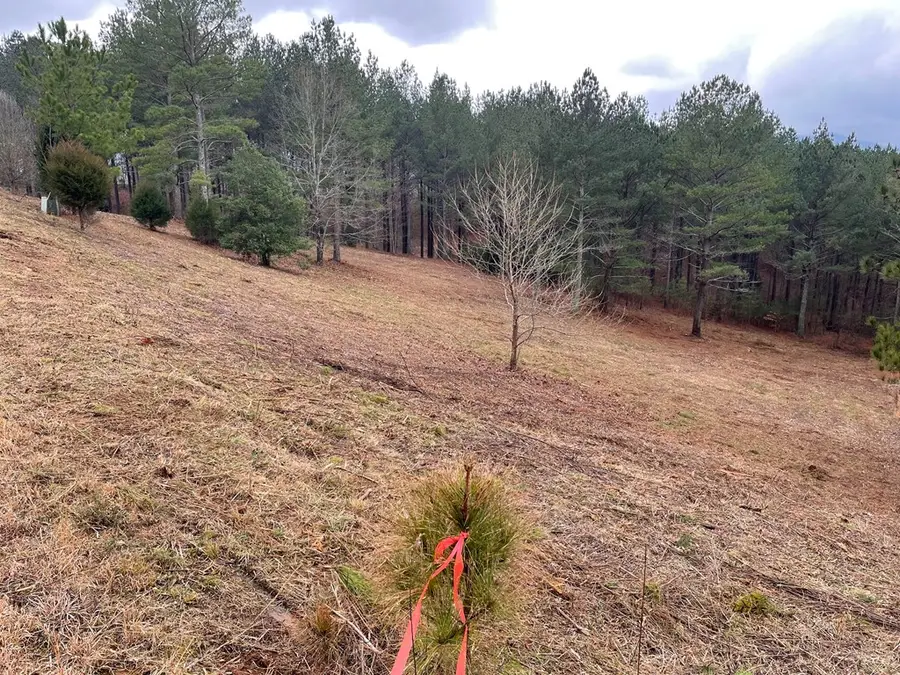 Lot 39 Pinehurst, Blairsville, GA 30512 - Image #2