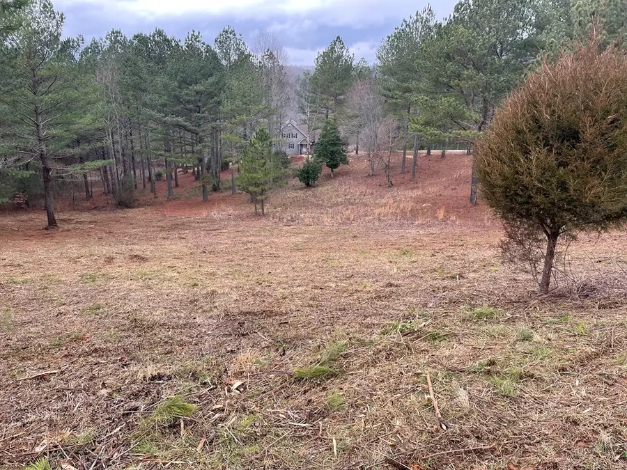 Lot 39 Pinehurst, Blairsville, GA 30512 - Image #3