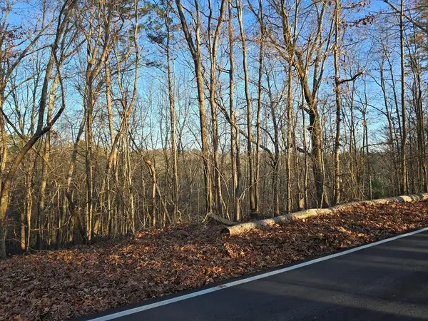 Lot 476 Riverview Drive, Ellijay, GA 30540