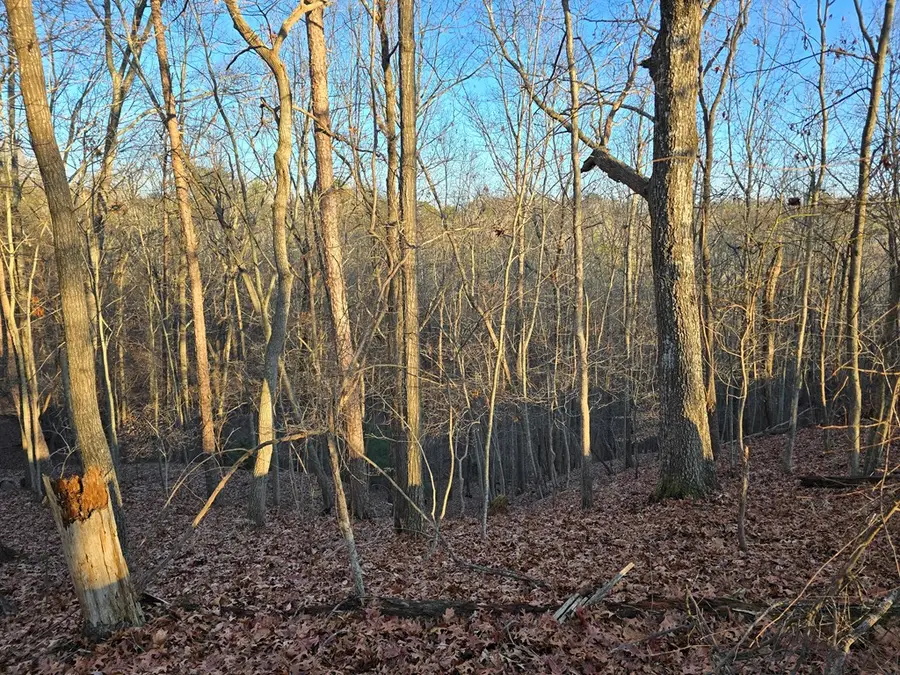 Lot 476 Riverview Drive, Ellijay, GA 30540 - Image #3