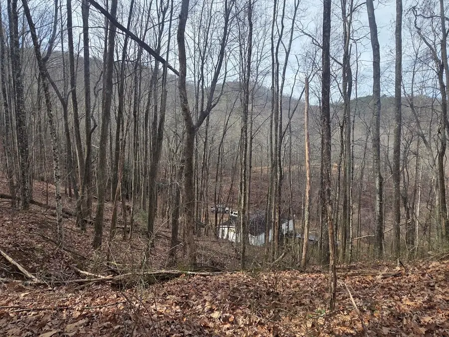 115 Calvender Road, Turtletown, TN 37391 - Image #3