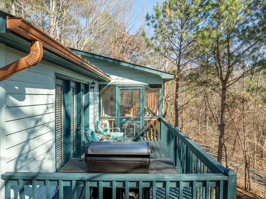 48 Palisade Drive, Ellijay, GA 30540 - Image #2