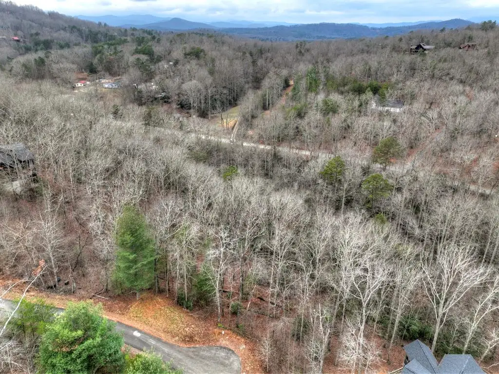 Lot 5 Staurolite Mountain, Blue Ridge, GA 30513 - #1