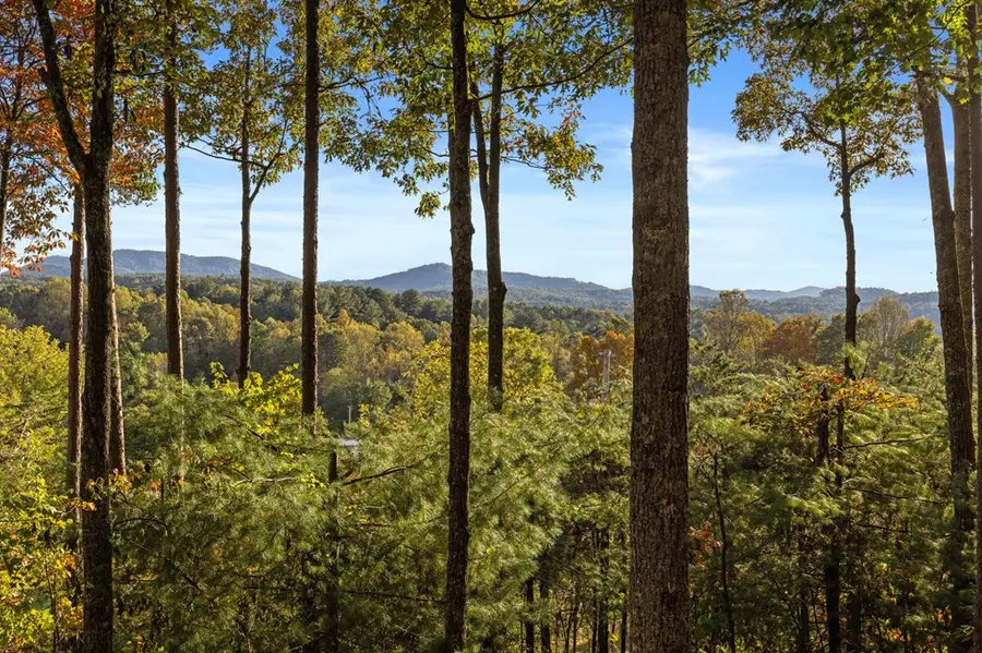 5240 Squirrel Hunting Road, Morganton, GA 30560 - Image #2