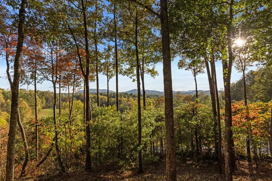 5240 Squirrel Hunting Road, Morganton, GA 30560 - Image #3