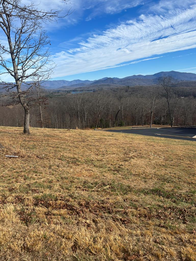 Lot 24 Jack Groves Lane, Hayesville, NC 28904 - Image #1