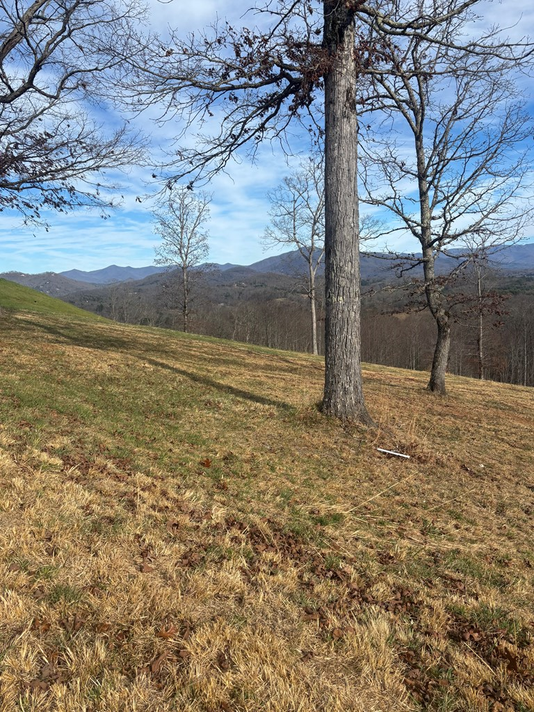 Lot 24 Jack Groves Lane, Hayesville, NC 28904 - Image #2