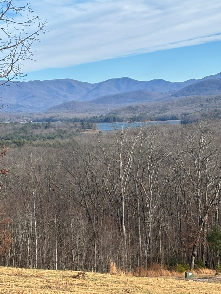 Lot 24 Jack Groves Lane, Hayesville, NC 28904 - Image #3