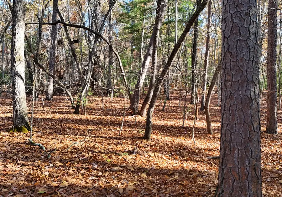 1.52 AC Tomahawk, Blairsville, GA 30512 - Image #3