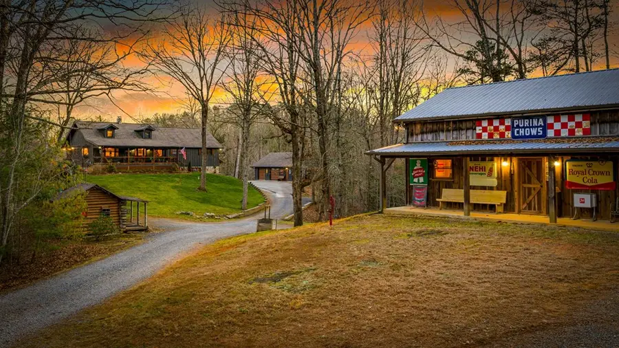 178 Arp Road, Mineral Bluff, GA 30559 - Image #3