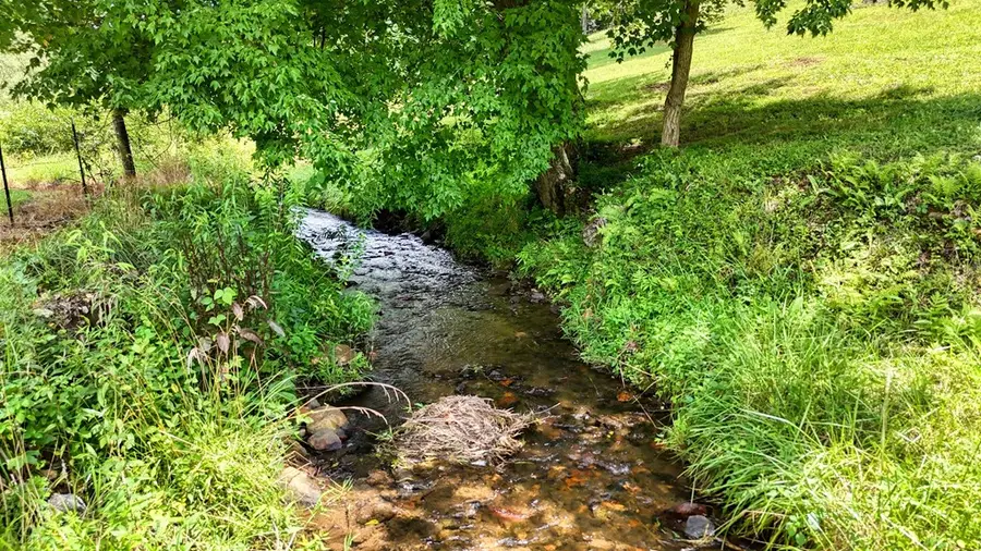 105 Evergreen Road, Hiawassee, GA 30546 - #3