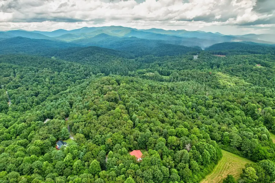 44 W D Court, Ellijay, GA 30540 - #3