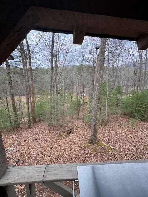 123 Martins Bluff, Blairsville, GA 30512 - Image #2