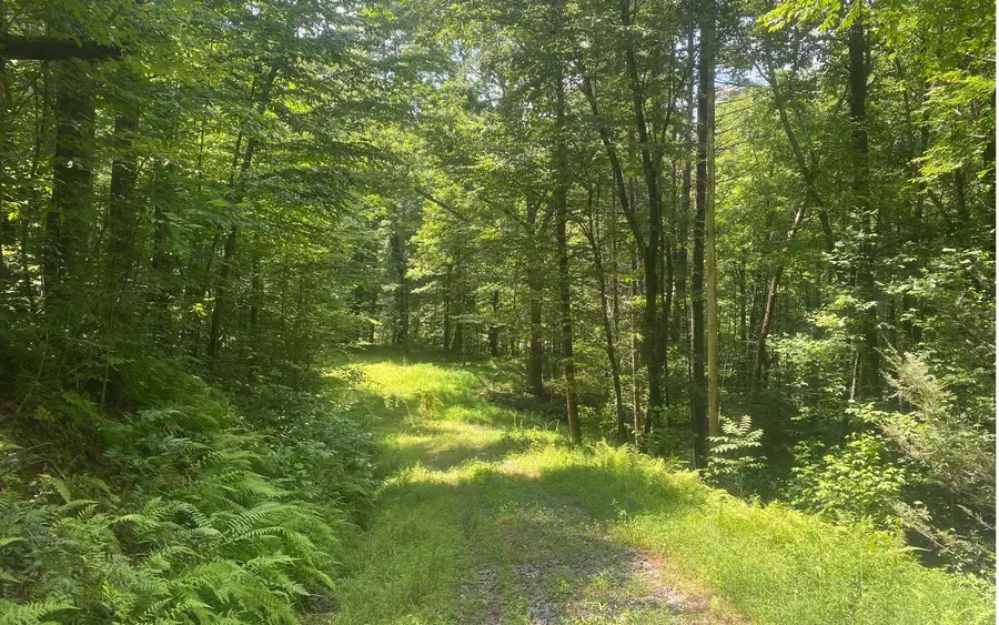 17.98 Ac Murphy Hwy, Mineral Bluff, GA 30559 - Image #3