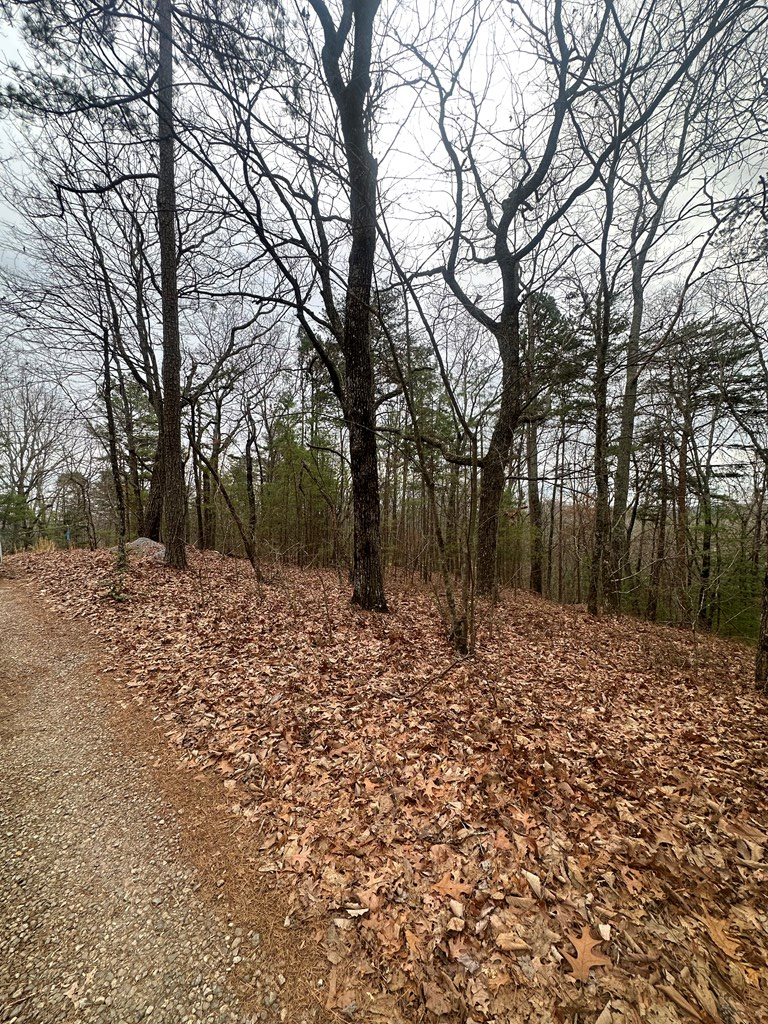 0 Sheila Drive, Ellijay, GA 30540 - Image #3