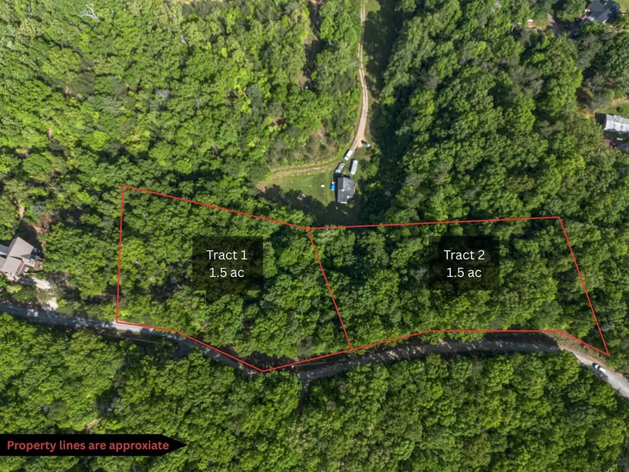 Tract 1 Century Lane, Blue Ridge, GA 30513 - #3