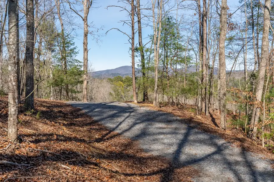 Lot 32R Woodring Branch Road, Ellijay, GA 30540 - Image #3