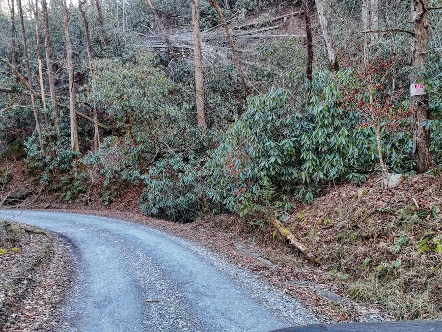 7.69ac Webb Creek Road, Andrews, NC 28901 - Image #3