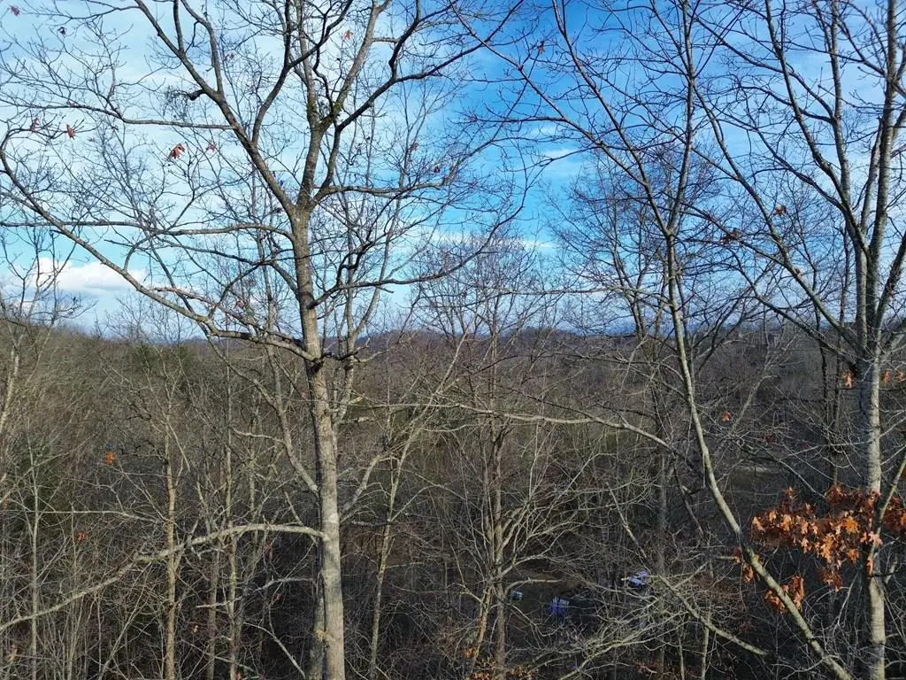 Tract 2 Century Lane, Blue Ridge, GA 30513 - #1