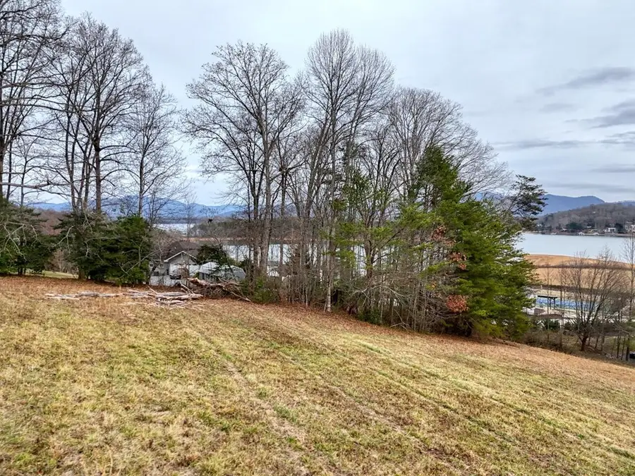 Lot 9 Skylake Manor, Young Harris, GA 30582 - Image #3