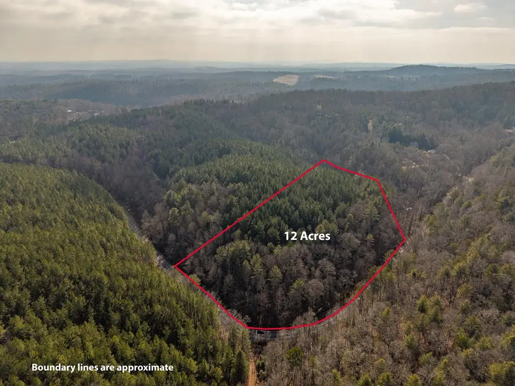 12 ACRE Pleasant Gap Road, Ellijay, GA 30540 - #1