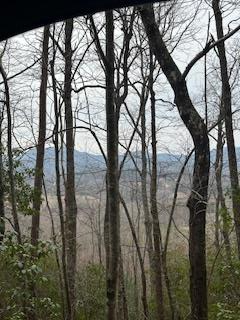 0 Winchester Creek, Young Harris, GA 30582 - Image #1