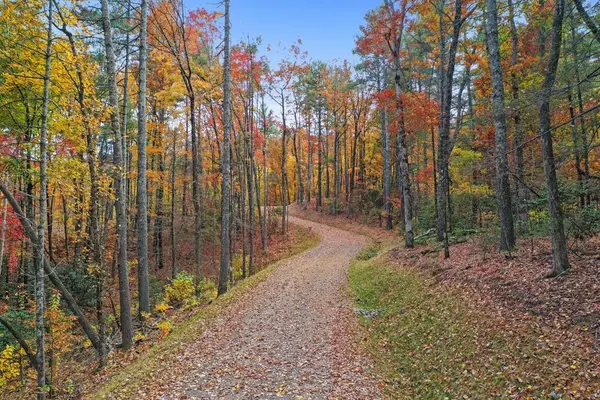 Lot 2 Wilderness Way, Blue Ridge, GA 30513